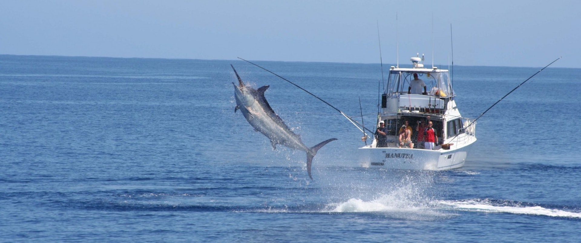 Reel In $10K Worth Of Fishing Gear - Albatross Bay Resort